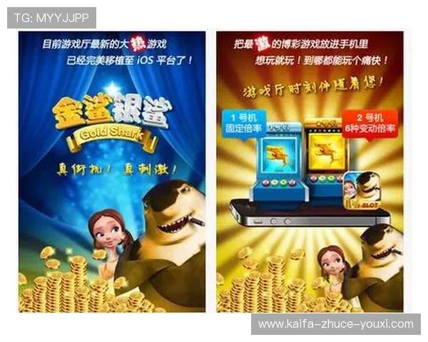 全面解析FC老虎机的游戏规则与技巧，助你提升中奖几率