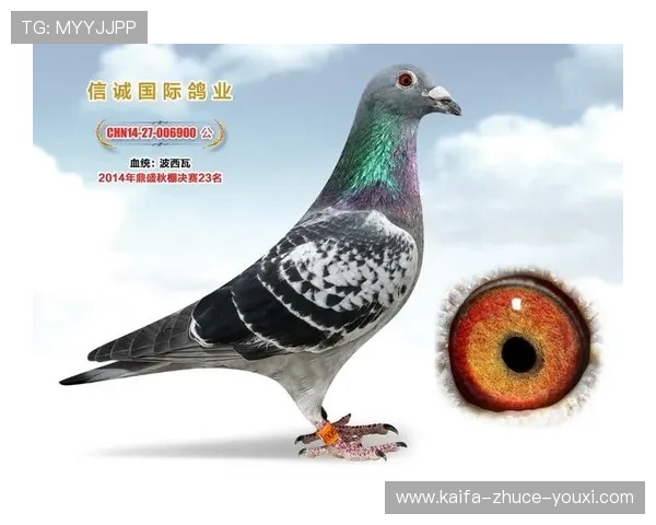 如何正确选择AG国际注册平台，确保账户安全和资金保障的实用技巧