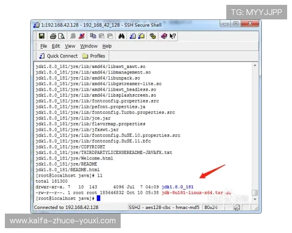 K8电游体会：详细解析游戏中的常见误区与避免方法