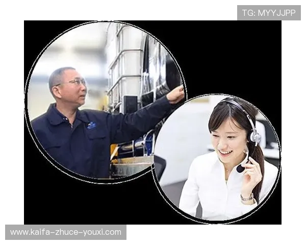 凯发天生赢家一触即发:如何利用平台资源实现持续盈利与长远发展 凯发天生赢家一触即发:如何利用平台资源实现持续盈利与长远发展